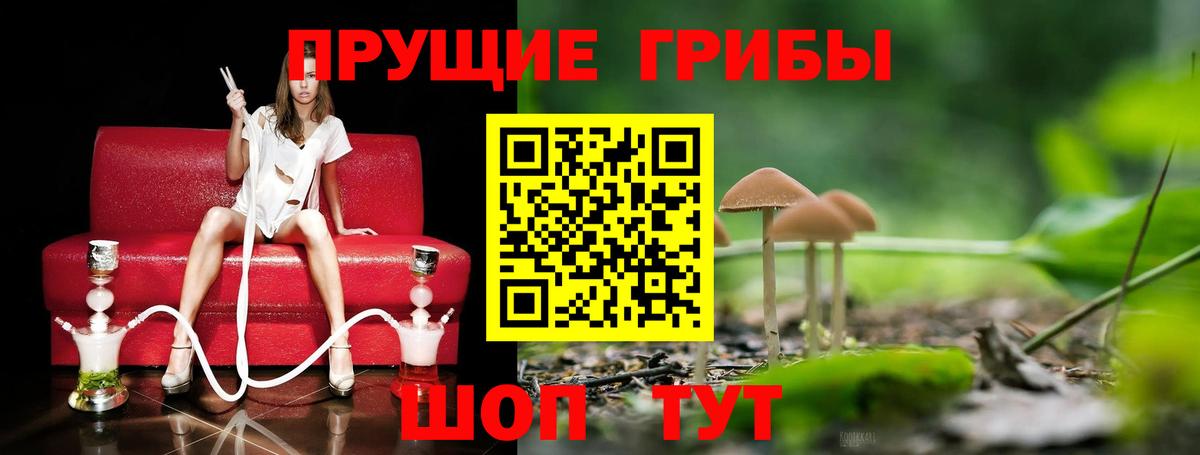Артём  Галлюциногенные грибы мицелий  где можно купить   Вход с VPN 