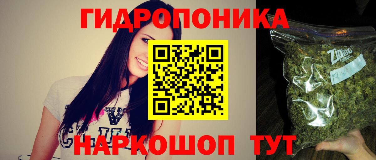 Каннабис конопля Артём
